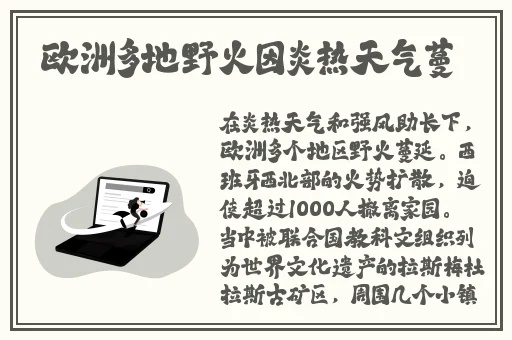 天天躁夜夜躁狠狠综合2020